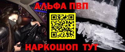 2c-b Кингисепп