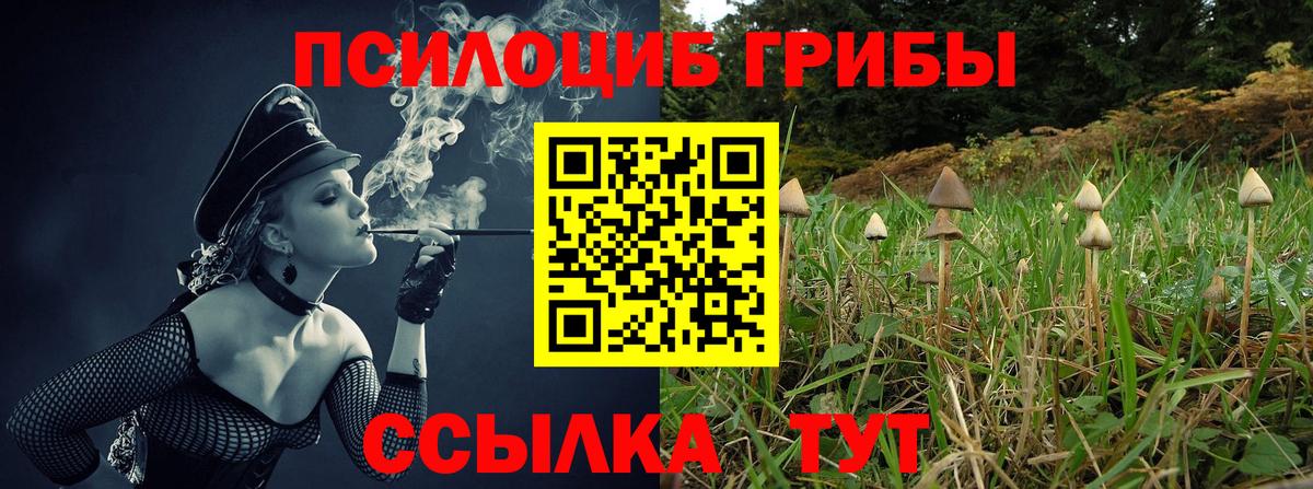 Галлюциногенные грибы MAGIC MUSHROOMS Карабулак