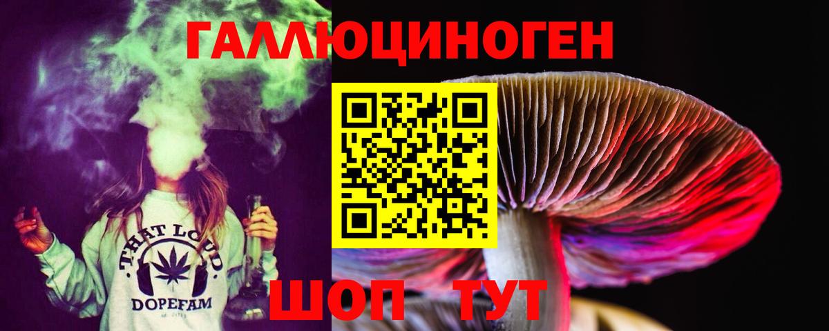 Карабулак  Псилоцибиновые грибы GOLDEN TEACHER  Вход с VPN 